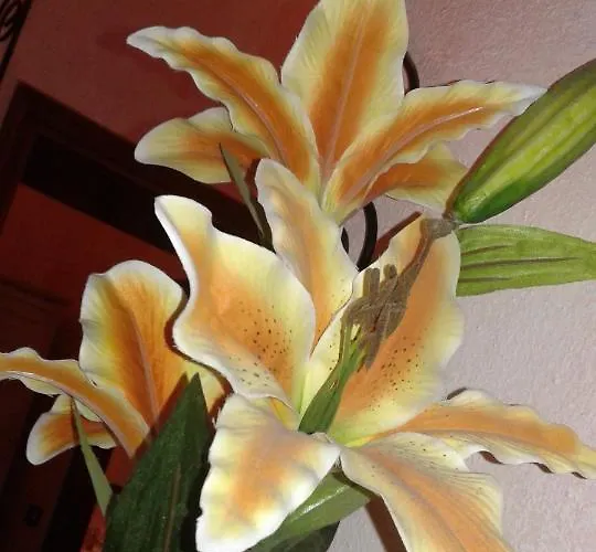 Il Giglio D'oro